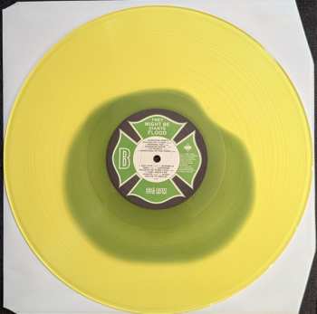 LP They Might Be Giants: Flood