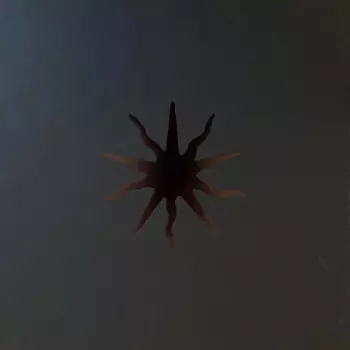 This Immortal Coil: The World Ended A Long Time Ago