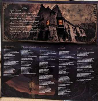 LP Thornbridge: Daydream Illusion LTD