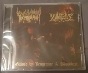 Guided By Vengeance & Bloodlust