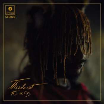 CD Thundercat: It Is What It Is