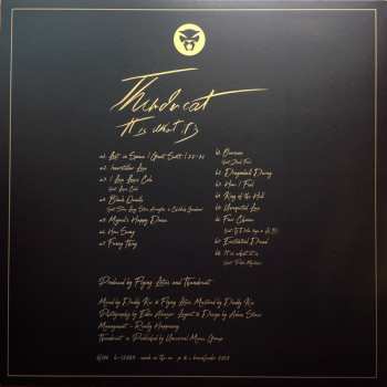 LP Thundercat: It Is What It Is