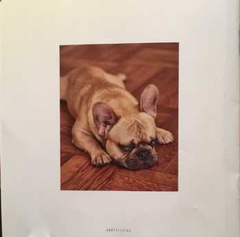 CD Tim Bendzko: Immer Noch Mensch