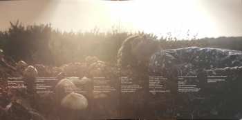 LP Tim Burgess: I Love The New Sky LTD | CLR