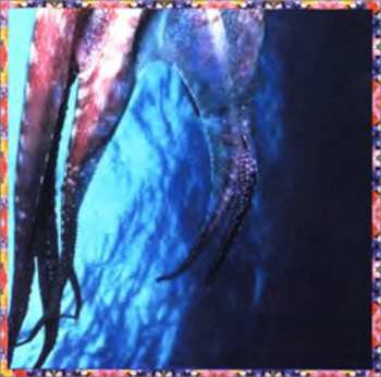 Album Time Of Orchids: Melonwhisper