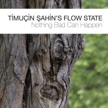 Album Timuçin Şahin's Flow State: Nothing Bad Can Happen