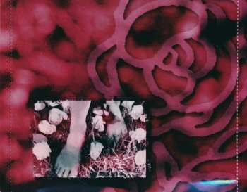 CD Tish Hinojosa: Sign Of Truth