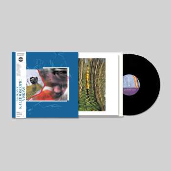 LP Tom Skinner: Kaleidoscopic Visions