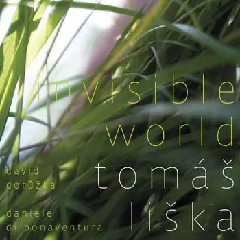 Tomáš Liška: Invisible World