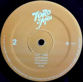 LP Toro Y Moi: Underneath The Pine
