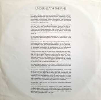 LP Toro Y Moi: Underneath The Pine