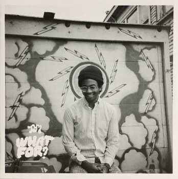 CD Toro Y Moi: What For?