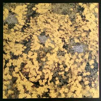 LP Toro Y Moi: What For? LTD | DLX | CLR