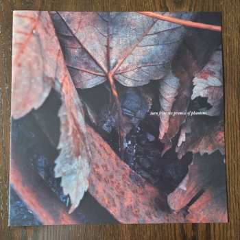 LP Torpor: Abscission LTD