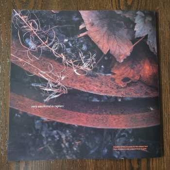 LP Torpor: Abscission LTD