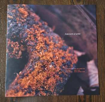 LP Torpor: Abscission LTD