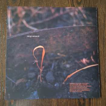 LP Torpor: Abscission LTD