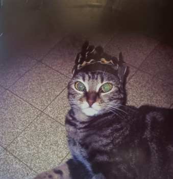  Two Door Cinema Club: Tourist History