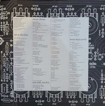 LP Toyah: The Changeling DLX
