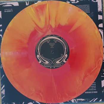 LP Trace Mountains: House of Confusion CLR