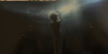 2LP Trent Reznor: Gone Girl (Soundtrack From The Motion Picture)