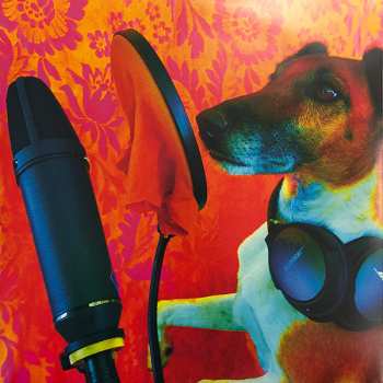 LP Tropical Fuck Storm: Laughing Death In Meatspace