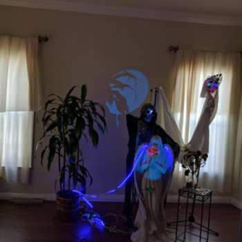 Album True Neutral Crew: Soft Rules