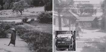 LP Tucker Martine: Broken Hearted Dragonflies