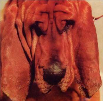 CD Ty Segall: Goodbye Bread