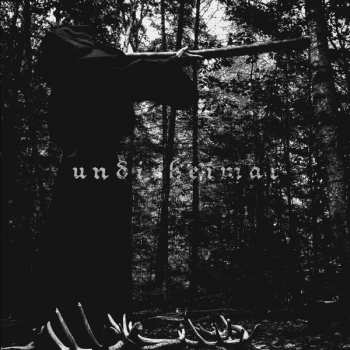 Album Undirheimar: Vardlokkur