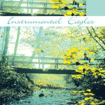 Album Unknown Artist: Instrumental Eagles