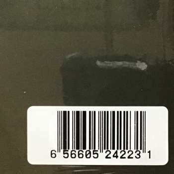 2LP Unknown Mortal Orchestra: V LTD | CLR