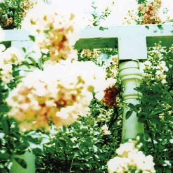 LP Unwed Sailor: Little Wars