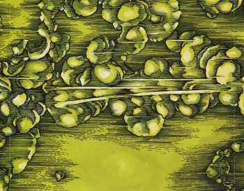 CD U.S. Christmas: The Valley Path