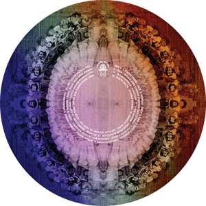 LP Various: Carpark Sweet Sixteen Basketball Picture Disc PIC