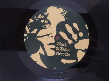 LP Vanexa: Too Heavy To Fly