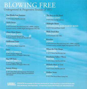 4CD/Box Set Various: Blowing Free: Underground & Progressive Sounds Of 1972
