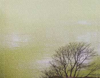 CD Various: Celtic Twilight 6