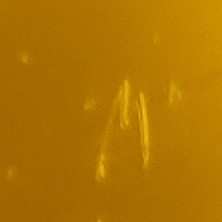 LP Various: Crown Jewels Vol.1 LTD | CLR