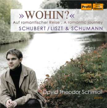 CD Various: David Theodor Schmidt - Wohin?