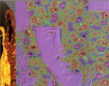 CD Various: Electronic Proclamations Of The Wild Child