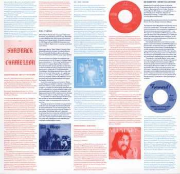 2LP Various: Forge Your Own Chains (Heavy Psychedelic Ballads And Dirges 1968-1974)