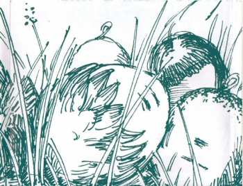 CD Various: Group Of Connected Heads Vol. 2