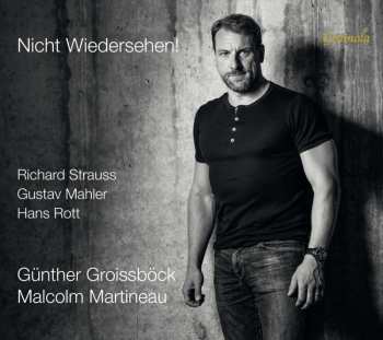 CD Various: Günther Groissböck - Nicht Wiedersehen!