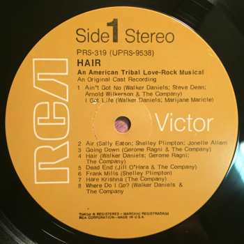 LP Various: New York Shakespeare Festival Public Theater Presents Hair: An American Tribal Love-Rock Musical