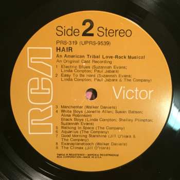 LP Various: New York Shakespeare Festival Public Theater Presents Hair: An American Tribal Love-Rock Musical