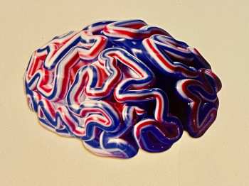 LP Various: Selex.xxion LTD | NUM