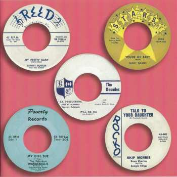CD Various: Shiver & Shake