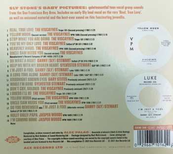 CD Various: Sly & The Viscaynes 〜 Yellow Moon - The Complete Recordings 1961-1962