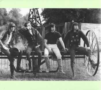 CD Various: The Seeds: Pushin' Too Hard (Original Soundtrack)